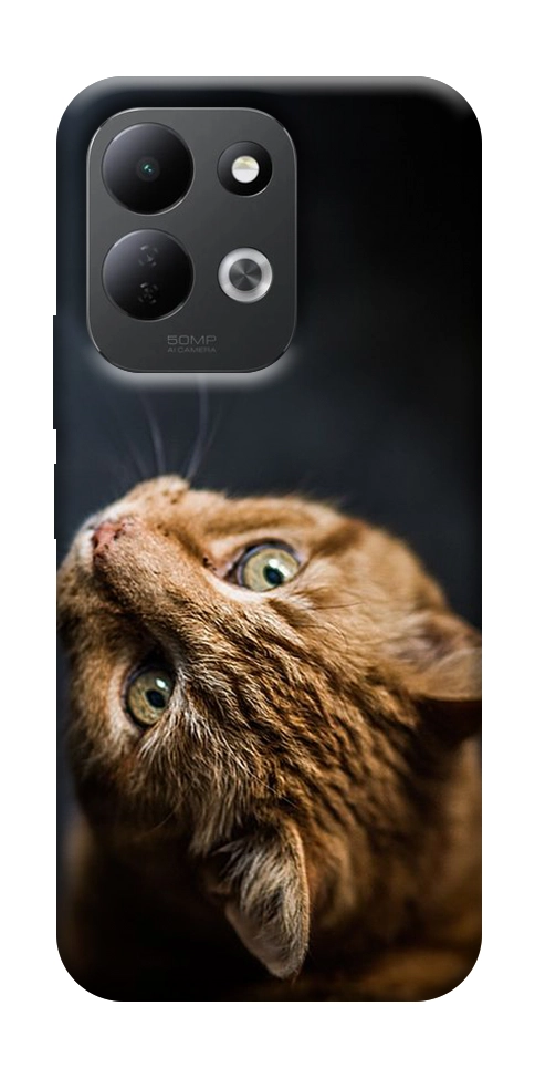 Чохол Рудий кіт для Xiaomi Redmi 17