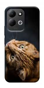 Чохол Рудий кіт для Xiaomi Redmi 17