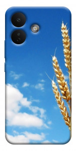 Чехол Пшеница для Xiaomi Redmi Note 17 Pro