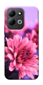 Чохол Ніжна хризантема для Xiaomi Redmi 17