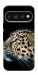 Чехол Leopard для Google Pixel 11 Pro XL