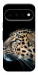 Чохол Leopard для Google Pixel 11 Pro