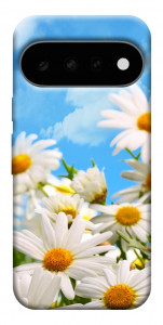 Чохол Ромашкове поле для Google Pixel 11 Pro
