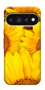 Чехол Букет подсолнухов для Google Pixel 11 Pro XL