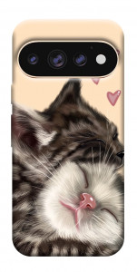 Чехол Cats love для Google Pixel 11 Pro XL