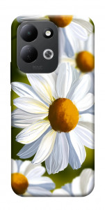 Чохол Ароматна ромашка для Xiaomi Redmi 17