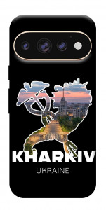 Чехол Kharkiv для Google Pixel 11 Pro XL