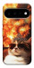Чехол Cat explosion для Google Pixel 11