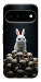 Чохол Bunny bones для Google Pixel 11 Pro