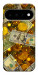 Чохол Gold and dollars для Google Pixel 11 Pro