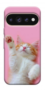 Чехол Сat chill для Google Pixel 11 Pro XL