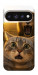 Чехол Shocked cat and lion для Google Pixel 11 Pro XL