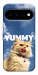 Чехол Sky kitty для Google Pixel 11