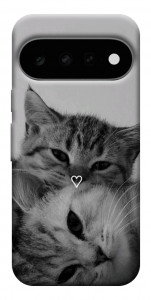 Чохол Grey cats для Google Pixel 11 Pro