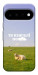 Чохол Та взагалі.... для Google Pixel 11 Pro