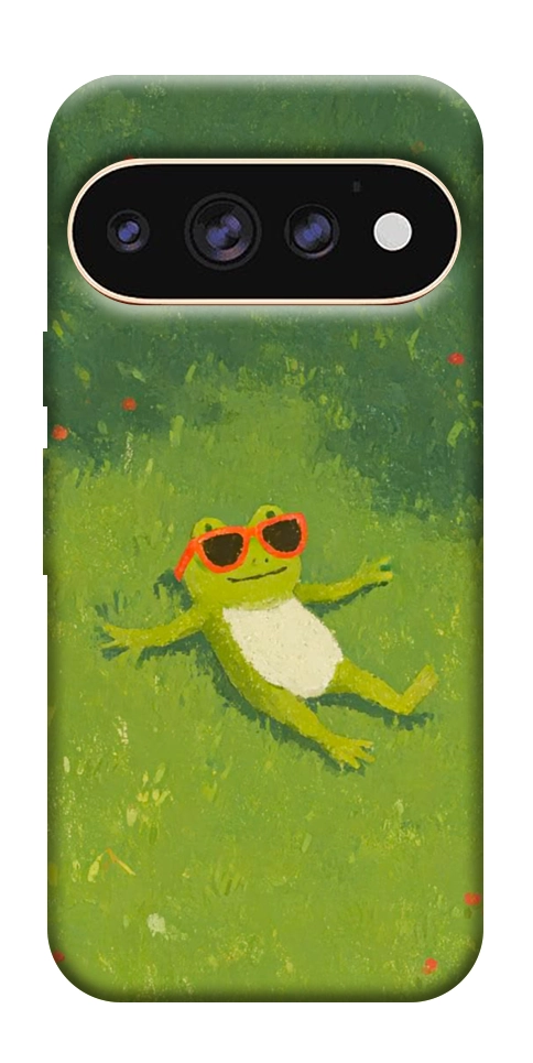 Чехол Лягушачий chill для Google Pixel 11 Pro XL