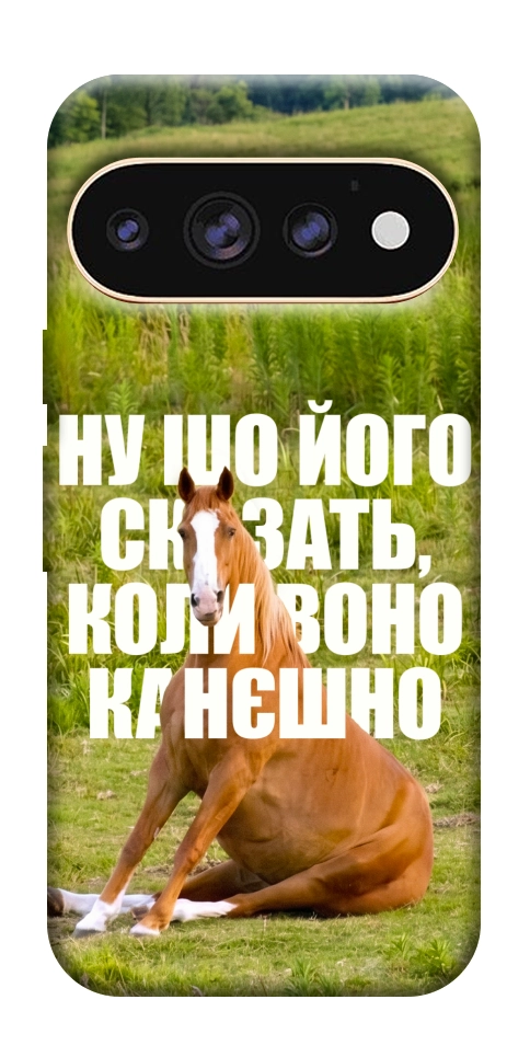 Чехол Horse sitting для Google Pixel 11 Pro XL