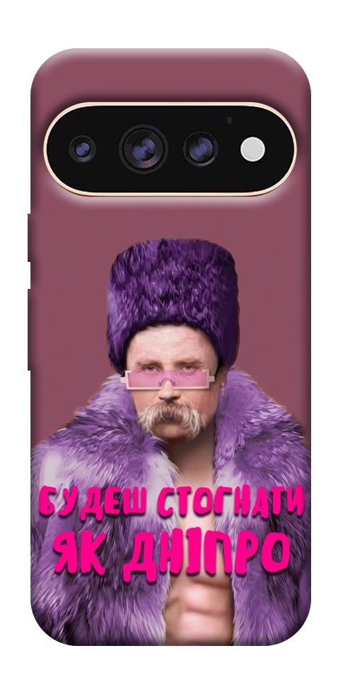 Чехол Шевченко–Дніпро для Google Pixel 11 Pro XL