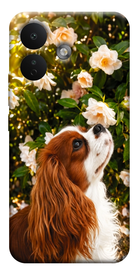 Чехол Flower spaniel для Xiaomi Redmi Note 17 Pro