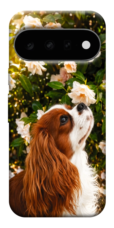 Чехол Flower spaniel для Google Pixel 11