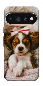 Чехол Sleepy spaniel для Google Pixel 11 Pro XL