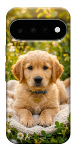 Чехол Small labradore для Google Pixel 11