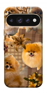 Чехол Spitz aethtetic для Google Pixel 11 Pro XL