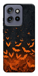 Чехол Orange bats для Motorola Edge 60 Neo