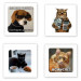 Стикер 3D Animal Collection