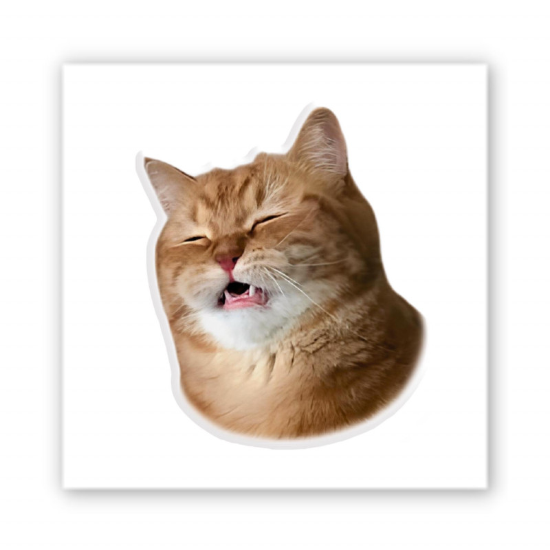 Стикер 3D Animal Collection (Funny Cat)