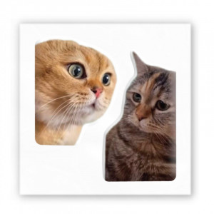 Стикер 3D Animal Collection