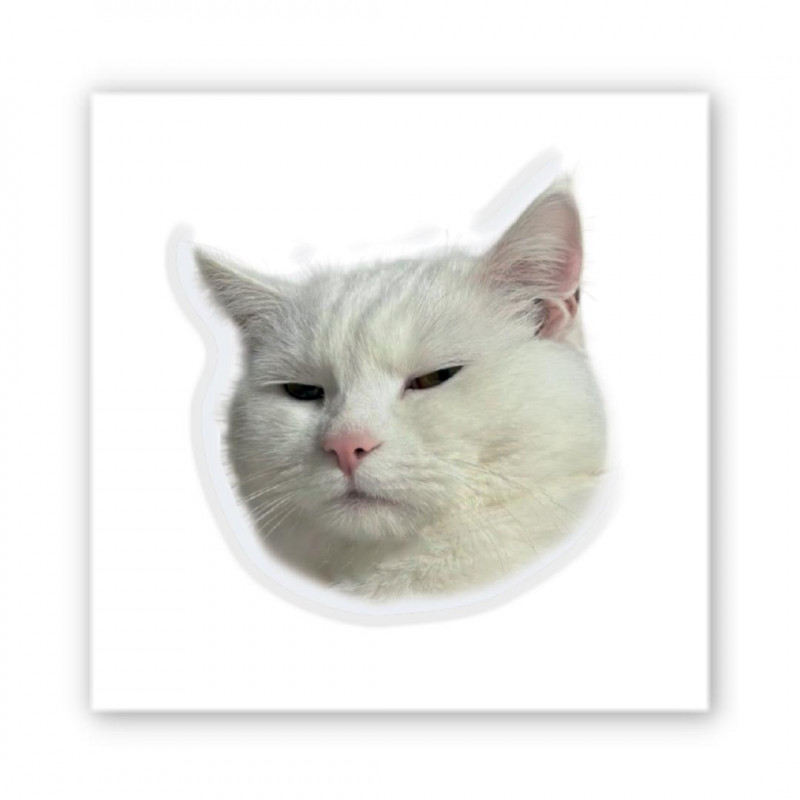 Стикер 3D Animal Collection (Serious Cat)