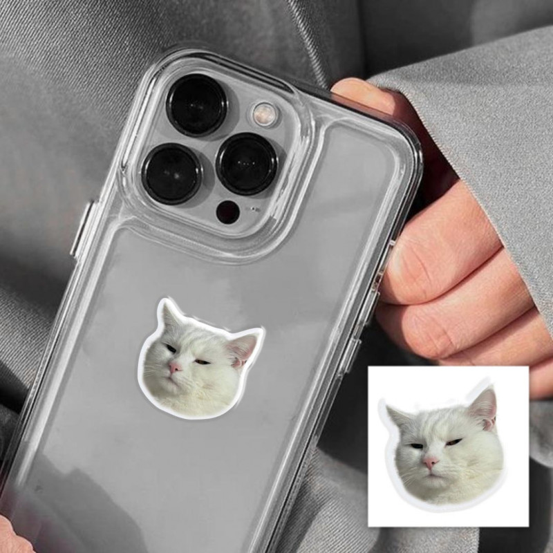 Фото Стикер 3D Animal Collection (Serious Cat) в магазине vchehle.ua