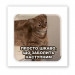 Стикер 3D Animal Collection (Все болить)