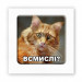 Стикер 3D Animal Collection (Всмислі?)