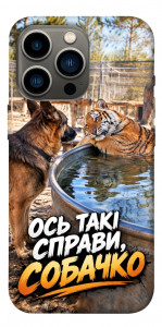 Чехол Ось такі справи для iPhone 13 Pro