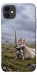 Чехол Knight kitten для iPhone 11