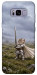 Чехол Knight kitten для Galaxy S8+