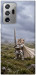 Чехол Knight kitten для Galaxy Note 20 Ultra