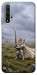 Чехол Knight kitten для Huawei Honor 20