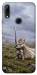 Чохол Knight kitten для Huawei P Smart Z