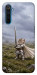 Чохол Knight kitten для Realme 6 Pro