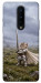 Чехол Knight kitten для OnePlus 8