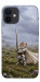 Чохол Knight kitten для iPhone 12 mini