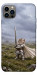 Чехол Knight kitten для iPhone 12 Pro