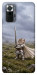 Чехол Knight kitten для Xiaomi Redmi Note 10 Pro