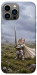 Чехол Knight kitten для iPhone 13 Pro Max