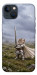 Чехол Knight kitten для iPhone 13