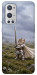 Чохол Knight kitten для Oneplus 9 pro