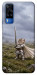 Чехол Knight kitten для Vivo Y51a